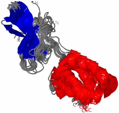 Image NMR Structure - all models