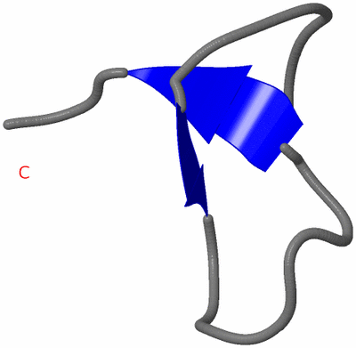 Image NMR Structure - model 1