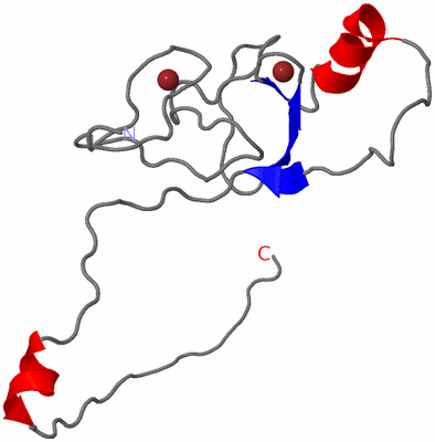 Image NMR Structure - model 1