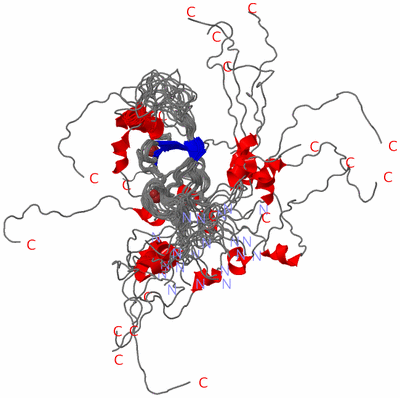 Image NMR Structure - all models