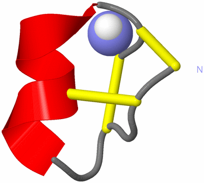 Image NMR Structure - model 1