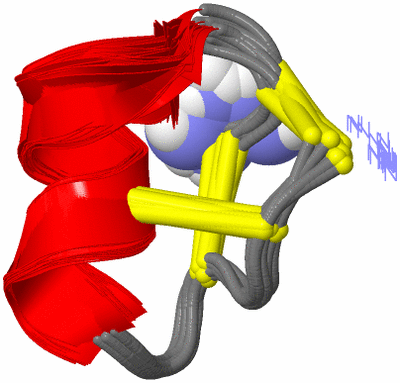 Image NMR Structure - all models