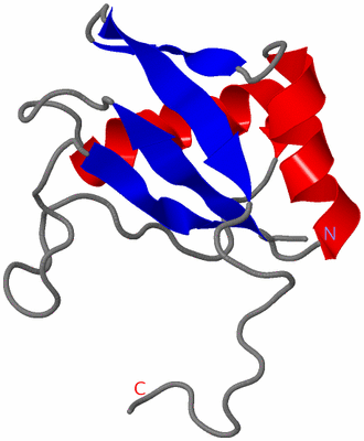 Image NMR Structure - model 1