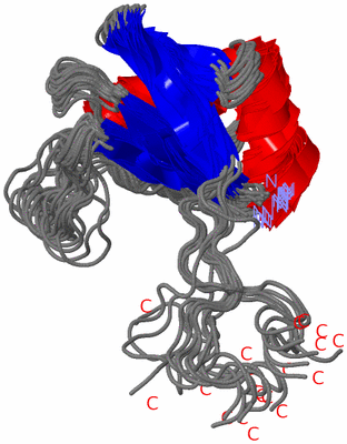 Image NMR Structure - all models