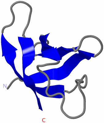 Image NMR Structure - model 1