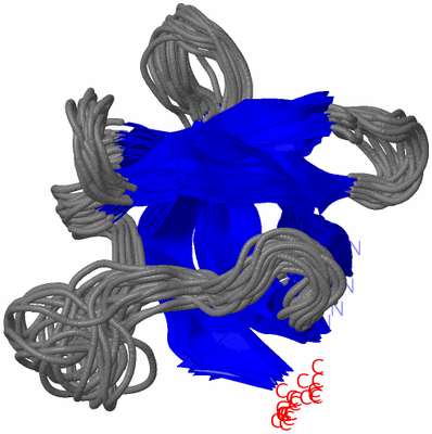 Image NMR Structure - all models