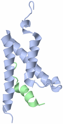 Image NMR Structure - model 1