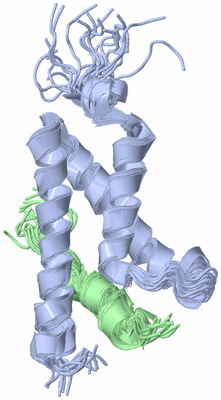 Image NMR Structure - all models