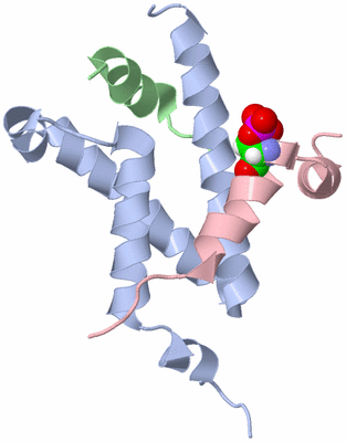 Image NMR Structure - model 1