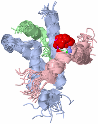 Image NMR Structure - all models