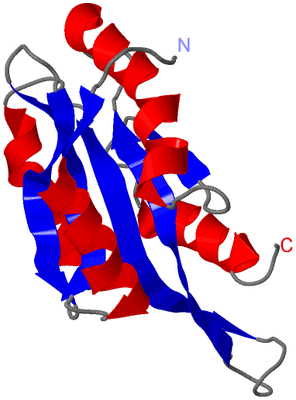 Image NMR Structure - model 1