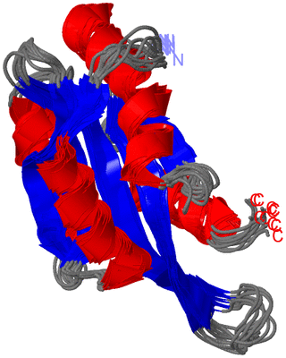 Image NMR Structure - all models