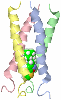 Image NMR Structure - model 1