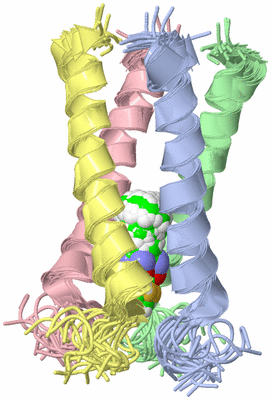 Image NMR Structure - all models