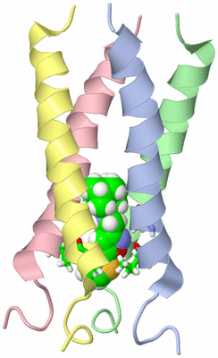 Image NMR Structure - model 1, sites