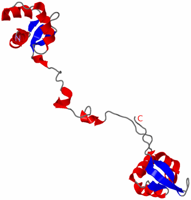 Image NMR Structure - model 1
