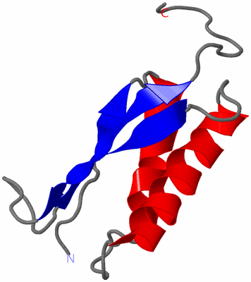 Image NMR Structure - model 1