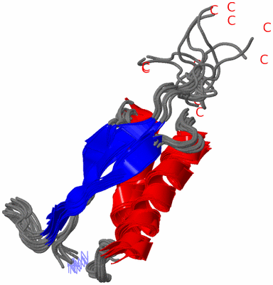 Image NMR Structure - all models