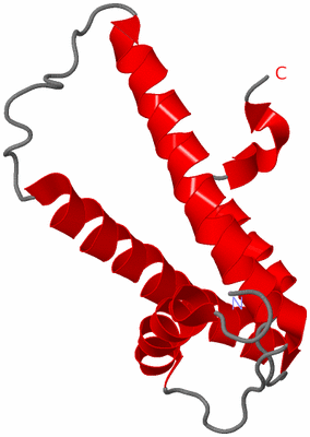 Image NMR Structure - model 1