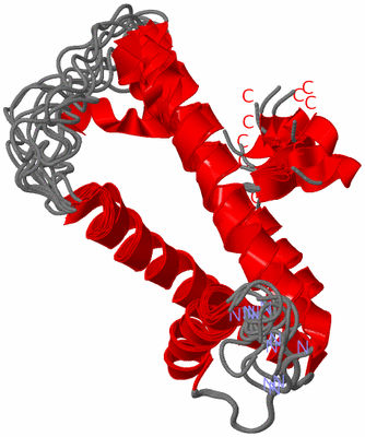 Image NMR Structure - all models