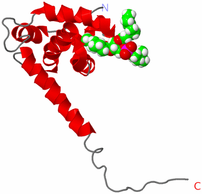 Image NMR Structure - model 1