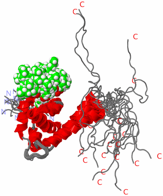 Image NMR Structure - all models