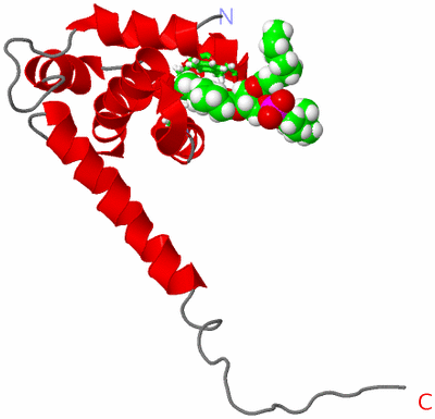 Image NMR Structure - model 1, sites