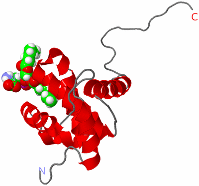 Image NMR Structure - model 1