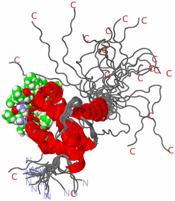 Image NMR Structure - all models