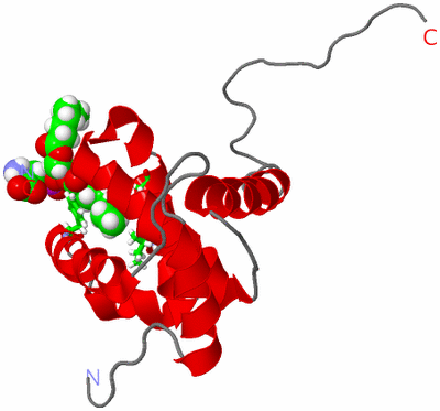 Image NMR Structure - model 1, sites