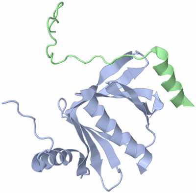 Image NMR Structure - model 1