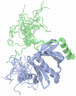 Image NMR Structure - all models