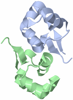 Image NMR Structure - model 1