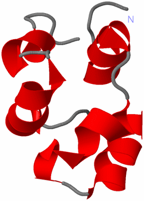 Image NMR Structure - model 1