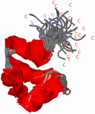 Image NMR Structure - all models