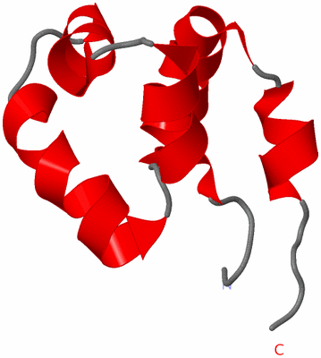 Image NMR Structure - model 1