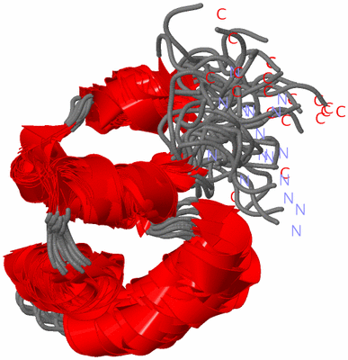 Image NMR Structure - all models
