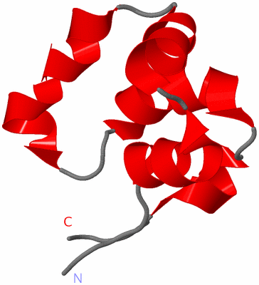 Image NMR Structure - model 1