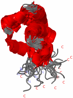 Image NMR Structure - all models