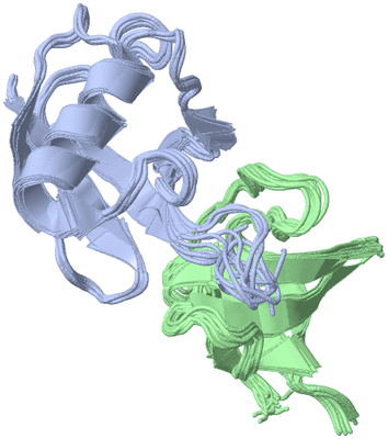 Image NMR Structure - all models