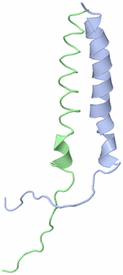 Image NMR Structure - model 1