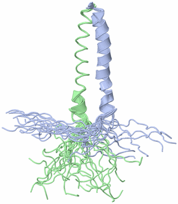 Image NMR Structure - all models