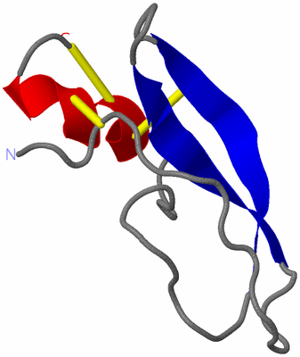 Image NMR Structure - model 1