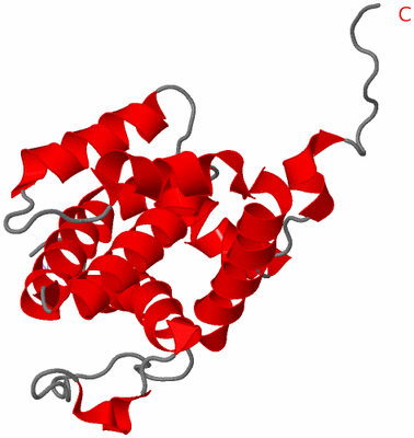 Image NMR Structure - model 1