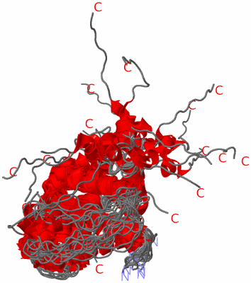 Image NMR Structure - all models