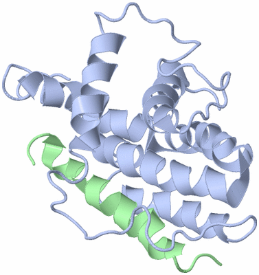 Image NMR Structure - model 1