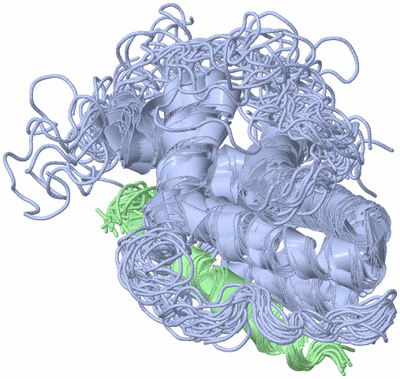 Image NMR Structure - all models