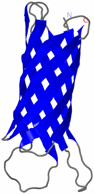 Image NMR Structure - model 1