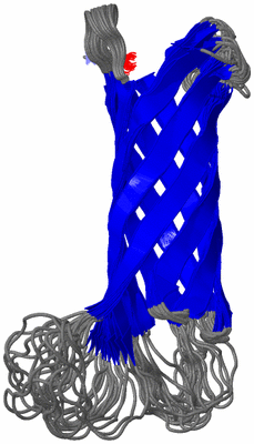 Image NMR Structure - all models