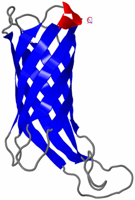 Image NMR Structure - model 1